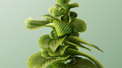 obj-image