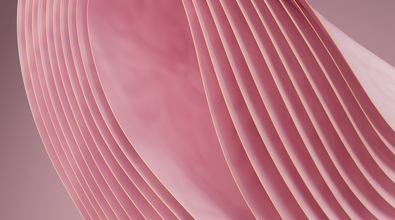 obj-image