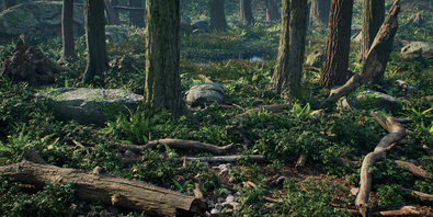 The Jungle