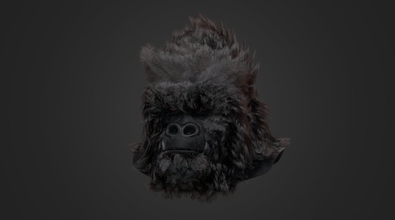 obj-image