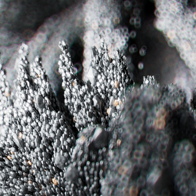 Magnets in Motion