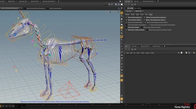 Horse Rig Intro