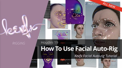 How to use Kevfx facial Auto-rig