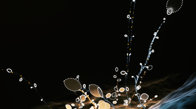 obj-image