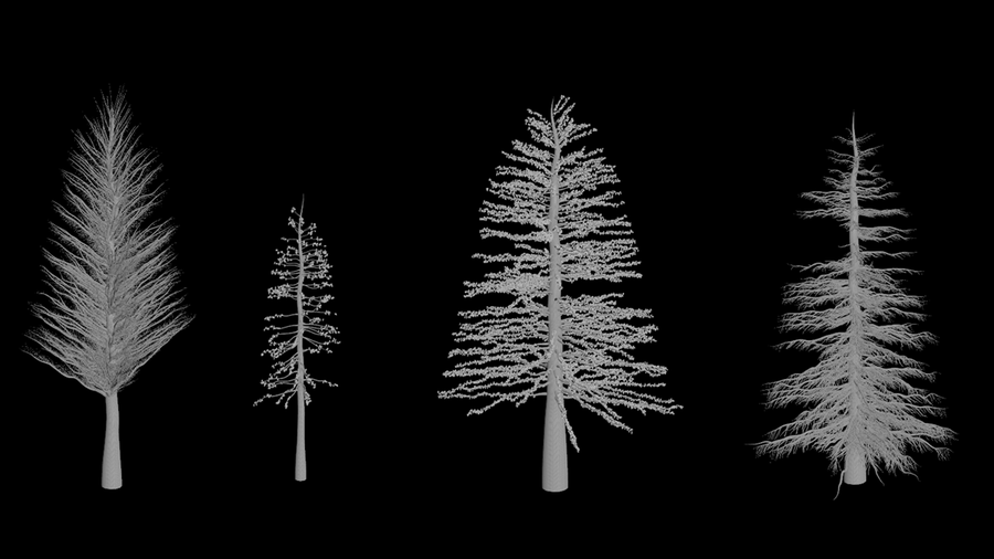This assets lets you generate a variety of trees using procedural controls.