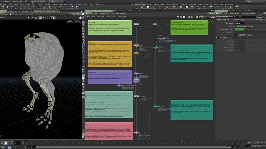 Import Muscles and both animated and t-pose bones to prep for Muscle Simulation Step. Add Muscle ID's then Muscle solidify to turn muscles into tets along with muscle fibre grooming and Muscle Properties.