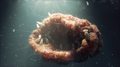 micro blob