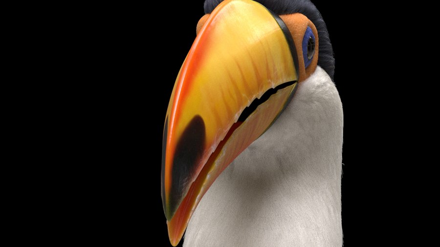 Toucan Render in Karma XPU