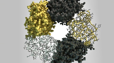 PDB Toolset