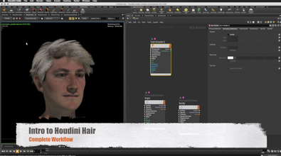 Introduction to Hair