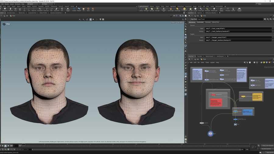 Comparing the result of Topo Flow (right) to a neutral template (left).