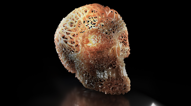 obj-image