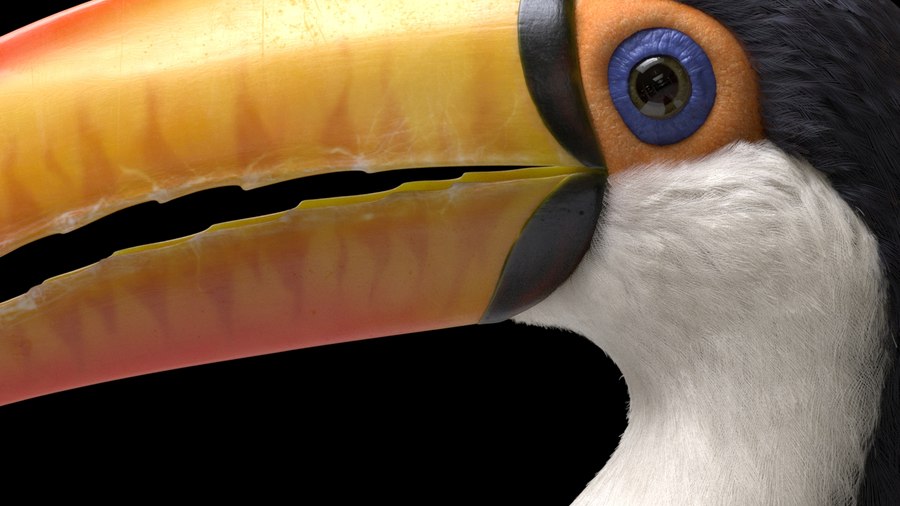 Toucan Render in Karma XPU