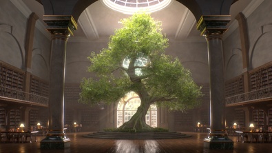Grand Library Nature