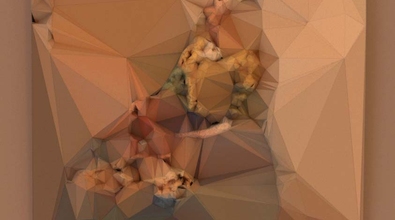 obj-image