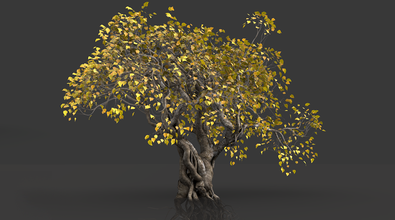 obj-image