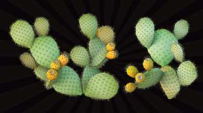 Procedural Cactus