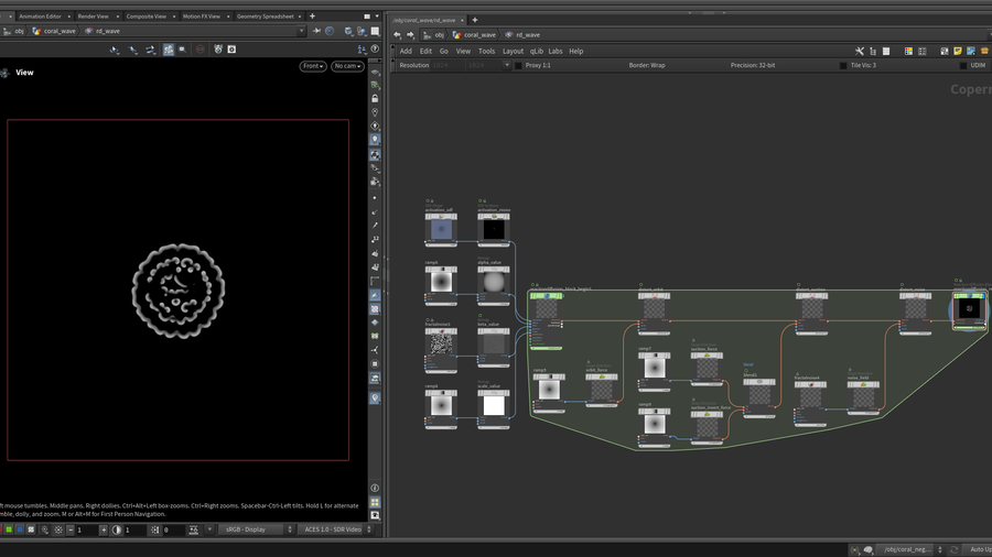 Reaction diffusion with selected grow direction