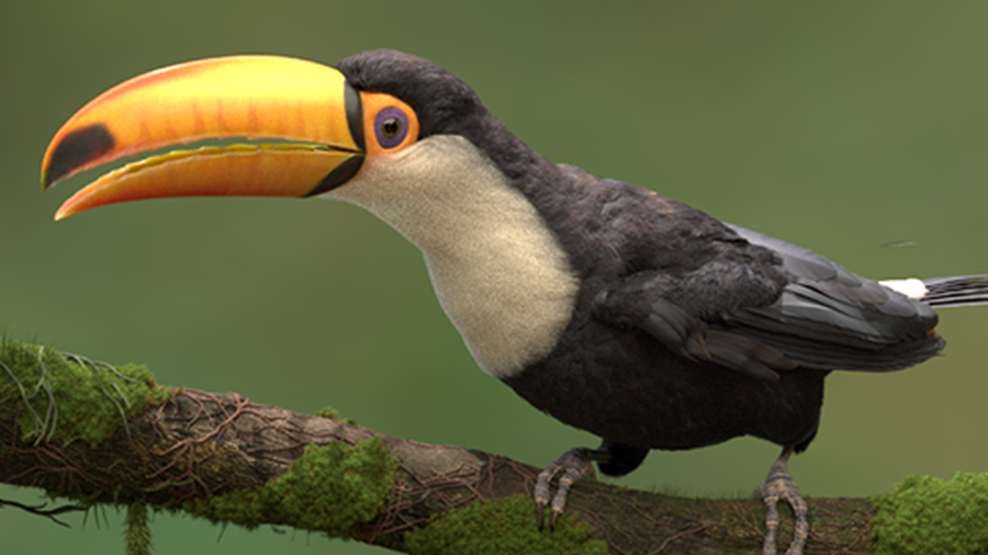 Final Render in Karma XPU