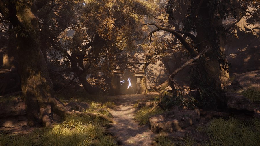 Walking through Elderwood