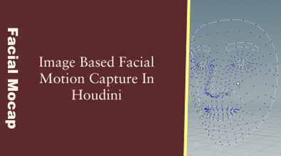 Image Based Facial Mocap