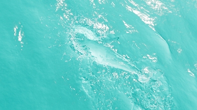 obj-image