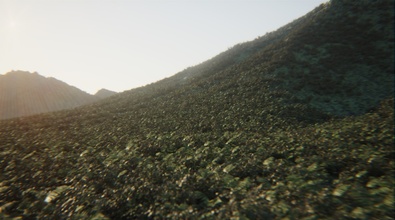 Getting started with Labs Biomes
