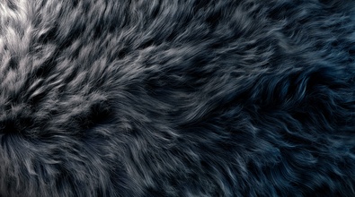 Houdini 16 Masterclasses