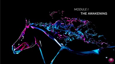 Renascence Program | Module I