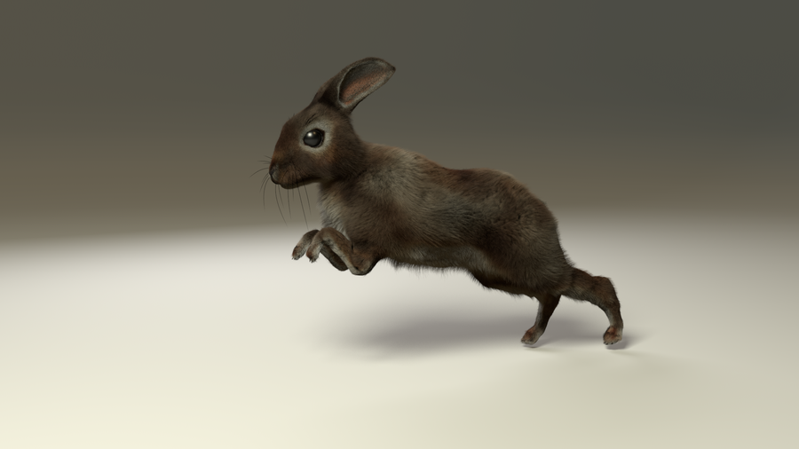 The fur setup file contains a cached run-cycle feeding into a fur system. If you keyframe the rig, you can choose to export then import the new sequence to create your own rabbit animation.