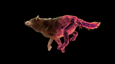 obj-image