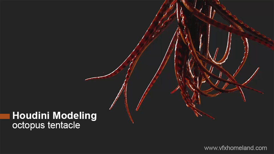 Houdini Procedural Modeling Octopus Tentacle Sidefx
