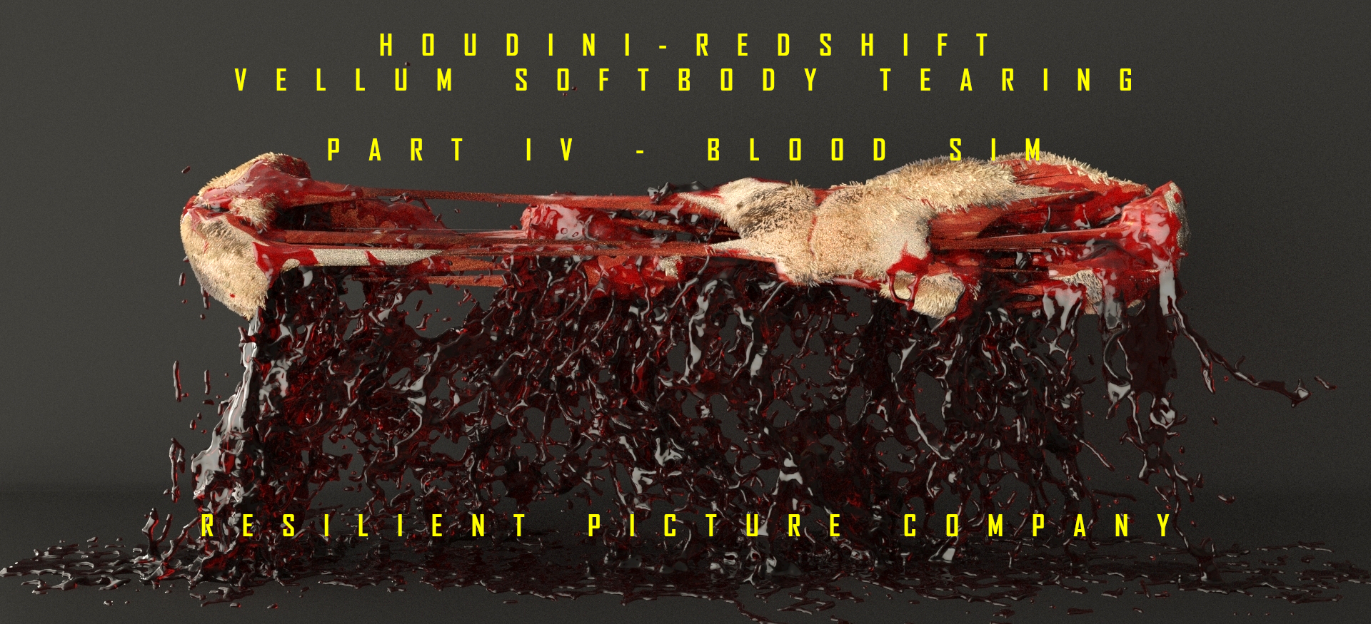PART IV - BLOOD SIM