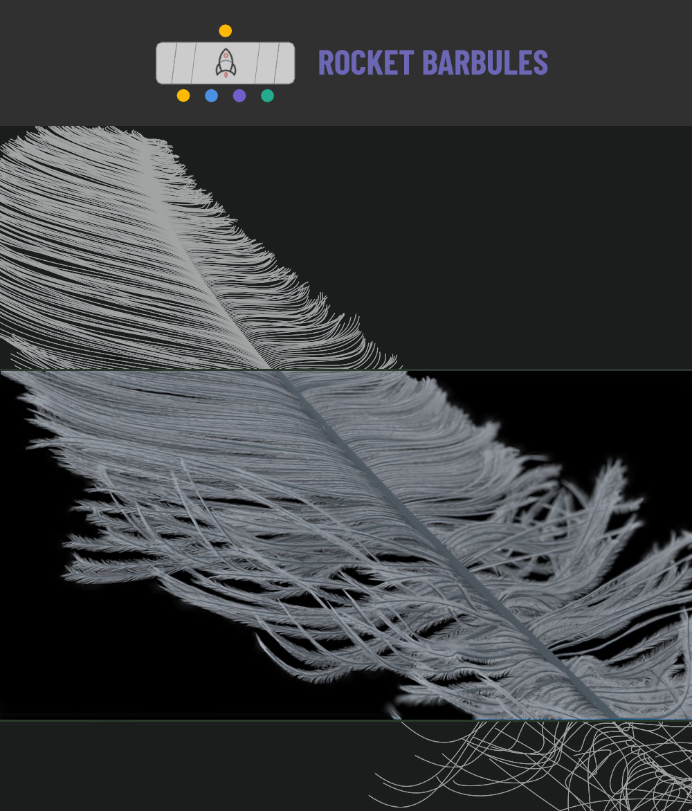 ROCKET BARBULES